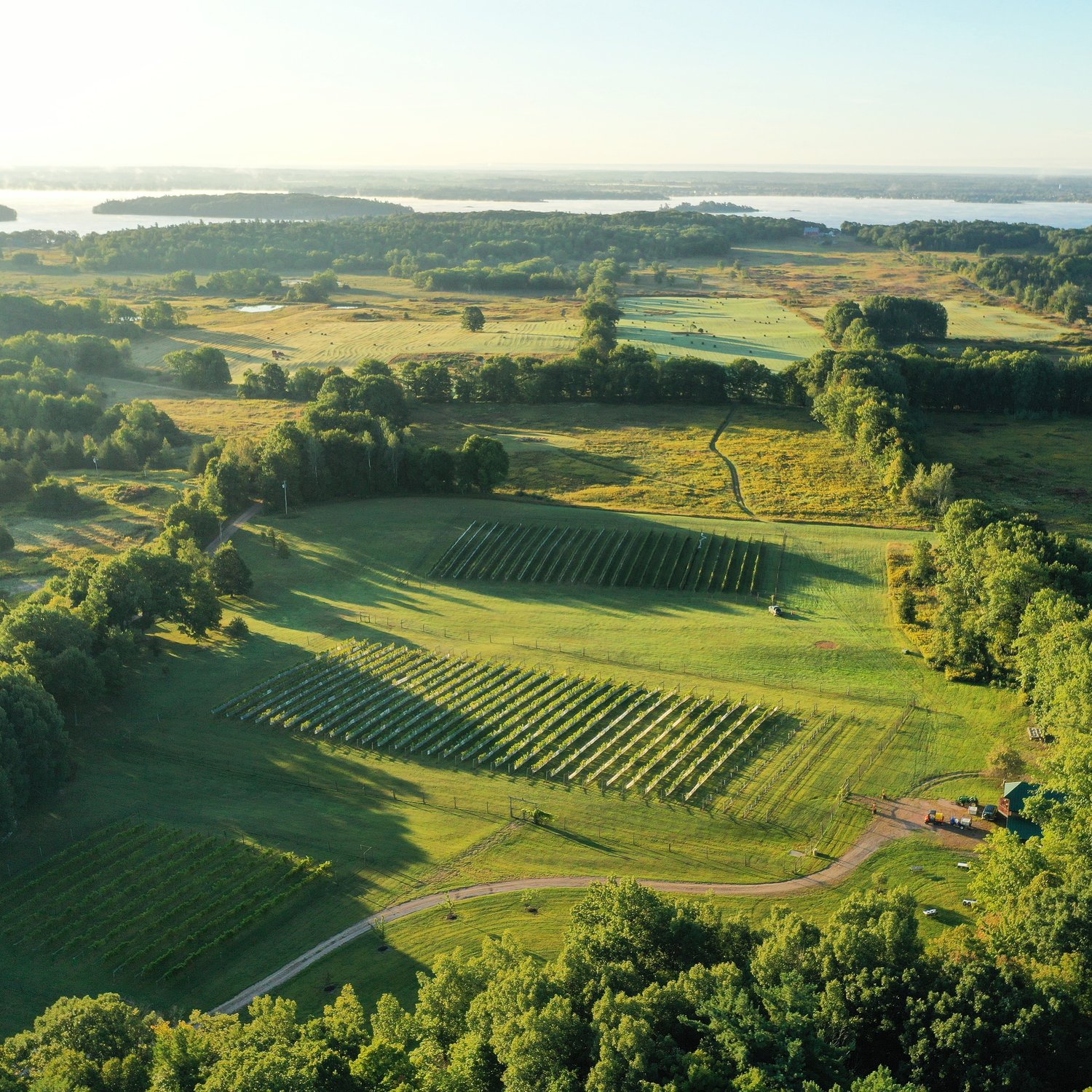 Wine Tours in the 1000 Islands